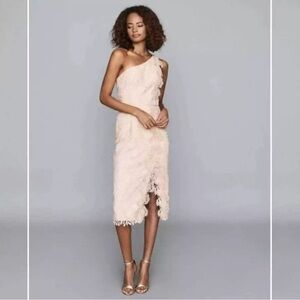 NWT Reiss Mena Blush Pink Crochet Lace One-Shoulder Dress